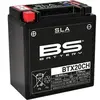 Image de Batterie moto BS Battery SLA BTX20CH - C (10Hr) - C (20Hr) Noir 12 V / 18-18,9 AH 1080680