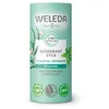 Image de EUCALIPTO déodorant stick 50 gr