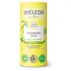 Image de Déodorant stick AGRUMES 50 gr