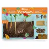 Image de Vivarium Observation Racines Et Vers De Terre Marron
