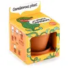 Image de Je Fais Pousser Ma Plante Carnivore Marron