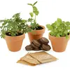 Image de Trio De Plantes Magiques Vert