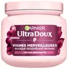 Image de Garnier Masque hydratant - Vignes Merveilleuses - 340 ml