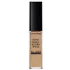 Image de TEINT IDOLE ULTRA WEAR all over concealer #047