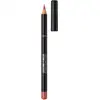 Image de Rimmel Lasting Finish 8HR Lip Liner (Various Shades) - Spice 110