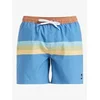 Image de Short de bain Quiksilver Everyday Straight Volley Bleu L EQYJV04121-BLQ5