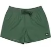 Image de Short de bain Quiksilver Everyday Volley 15 Vert S EQYJV04120-GRTH