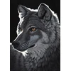 Image de Schim Schimmel - Night Wolf 1000 Pièces Grafika