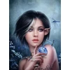 Image de The Curse of the Dragonfly 2000 Pièces Grafika