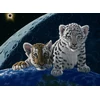 Image de Schim Schimmel - Total Eclipse 2000 Pièces Grafika