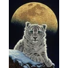 Image de Schim Schimmel - Moon Leopard 2000 Pièces Grafika