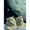 Image de Schim Schimmel - Lair of the Snow Leopard 2000 Pièces Grafika