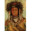 Image de George Catlin : Chef Indien - Ojibbeway, 1843 24 Pièces Grafika Kids