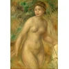 Image de Auguste Renoir : Nu, 1895 300 Pièces Grafika Kids