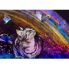 Image de Le Chat et l'Arc-en-Ciel 500 Pièces Grafika