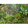 Image de François Ruyer - La Jungle 2 500 Pièces Grafika