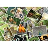 Image de Promenade au Zoo 500 Pièces Grafika