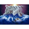 Image de Schim Schimmel - Cuddle Time 1500 Pièces Grafika