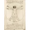 Image de Leonard De Vinci - The Vitruvian Man, 1490 1000 Pièces Bluebird Puzzle