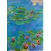 Image de Claude Monet - Water Lilies, 1917 1000 Pièces Bluebird Puzzle