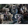 Image de Anne Stokes - Wolf Collage 1500 Pièces Bluebird Puzzle