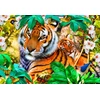 Image de Into the Shadows 300 Pièces Bluebird Puzzle