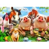 Image de Petting Farm 500 Pièces Bluebird Puzzle