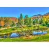 Image de Stowe, Vermont, USA 1000 Pièces Bluebird Puzzle