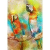 Image de Parrots 1000 Pièces Bluebird Puzzle