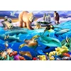 Image de Oceans of Life 1000 Pièces Bluebird Puzzle