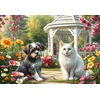 Image de Compagnons au Jardin 1000 Pièces Bluebird Puzzle