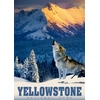 Image de Loup de Yellowstone 500 Pièces Alipson Puzzle
