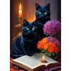 Image de Black Cats 500 Pièces Alipson Puzzle