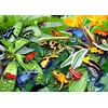 Image de Fun Frogs 500 Pièces Alipson Puzzle