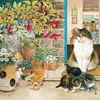 Image de Agneatha et ses Chatons sur le Pas de la Porte 1000 Pièces Alipson Puzzle