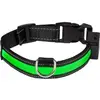 Image de Collier pour chien lumineux rechargeable USB Eyenimal Vert L NGCOLLUM018