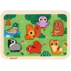 Image de Puzzle En Bois La Forêt Multicolore