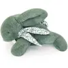 Image de Peluche Lapin Vert Sauge 25 Cm Vert
