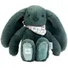 Image de Peluche Lapin Fleurette 25 Cm Vert