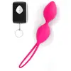 Image de Boules de Geisha Vibrantes Divine Balls