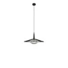 Image de Forestier CARPA