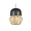 Image de Forestier ANEMOS