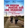 Image de Un Pigeon perché sur Une Branche philosophait sur l'existence - Roy Andersson en occasion ou reconditionné