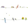 Image de Frise Adhésive With The Birds (5 M) Vert, Rose, Bleu