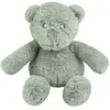 Image de Peluche Musicale Ourson 45 Cm Vert
