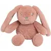 Image de Peluche Musicale Bébé Rose