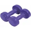 Image de Paire d'haltères ciment Sporti 1.5 Kg Violet 1,5 kg 044013