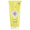 Image de FLEUR D’OSMANTHUS gel de ducha bienestar 200 ml