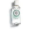 Image de THÉ VERT eau parfumée bien-être 100 ml