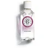 Image de GINGEMBRE Eau parfumée bien-être 100 ml